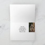 かわいいアライグマとの励ましの聖なる書物、 経典 カード (内部)