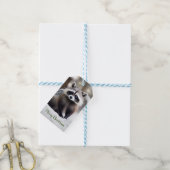 かわいいアライグマのギフトラベル ギフトタグ (より糸付き)