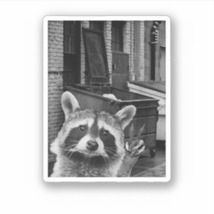 かわいいアライグマの自撮り アライグマ おもしろい アライグマ シール