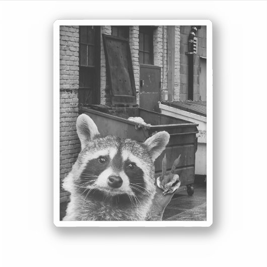 かわいいアライグマの自撮り アライグマ おもしろい アライグマ シール (正面)