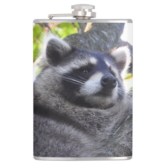 かわいいアライグマクローズアップ フラスク (正面)