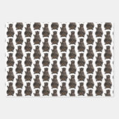 かわいいアライグマ柄のラッピング紙 ラッピングペーパーシート (正面)