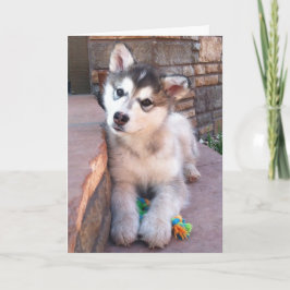 かわいいアラスカンマラミュートの子犬が頭を傾げる写真 カード