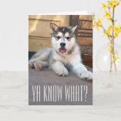 かわいいアラスカンマラミュートの子犬の写真 カード (黄色い花)