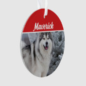 かわいいアラスカンマラミュートの犬の休日のクリスマスの写真 オーナメント (正面)
