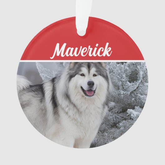 かわいいアラスカンマラミュートの犬の休日のクリスマスの写真 オーナメント (正面)