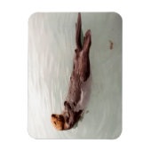 かわいいアラスカ海のカワウソ写真冷蔵庫 マグネット (縦)