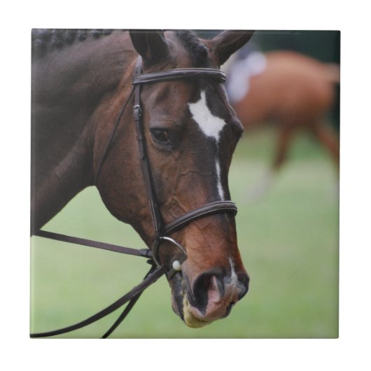 かわいいアラビアの馬のタイル タイル (正面)