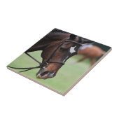 かわいいアラビアの馬のタイル タイル (側面)