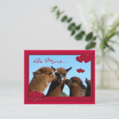 かわいいアルパカのバレンタインデーの郵便はがき シーズンポストカード (スタンド正面)