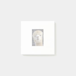 かわいいアルパカのフワフワした顔 ポストイット