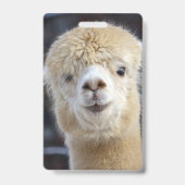 かわいいアルパカの顔 バッジ (裏面)