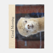 かわいいアルパカの顔 フリースブランケット (正面)