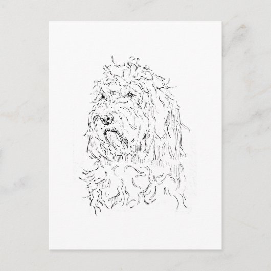 かわいいアート コッカプーの犬のイラスト ポストカード (正面)