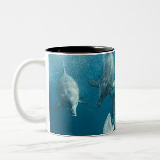 かわいいイルカたち ツートーンマグカップ (左)