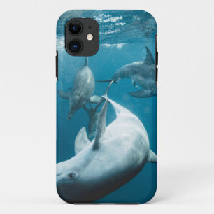 かわいいイルカたち iPhone 11 ケース
