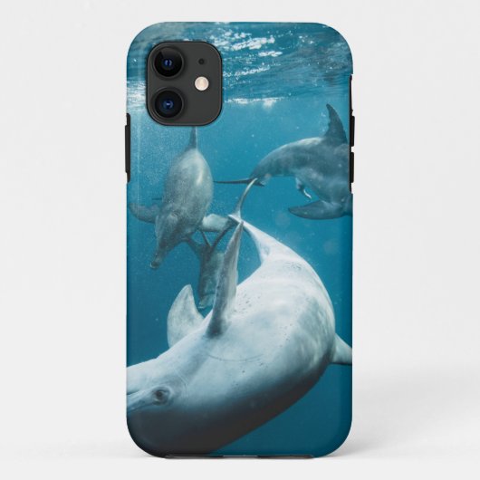 かわいいイルカたち Case-Mate iPhoneケース (裏面)