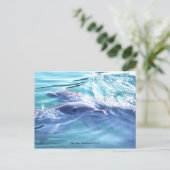 かわいいイルカの写真のポストカード ポストカード (スタンド正面)