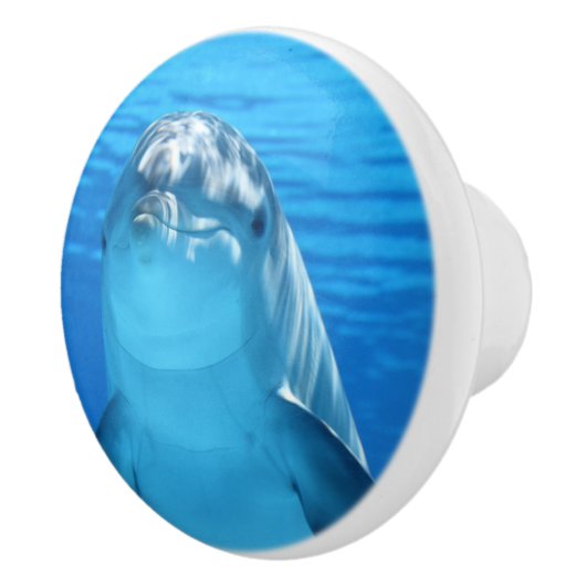 かわいいイルカ セラミックノブ (右)