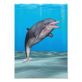 かわいいイルカ フォトプリント            (正面)