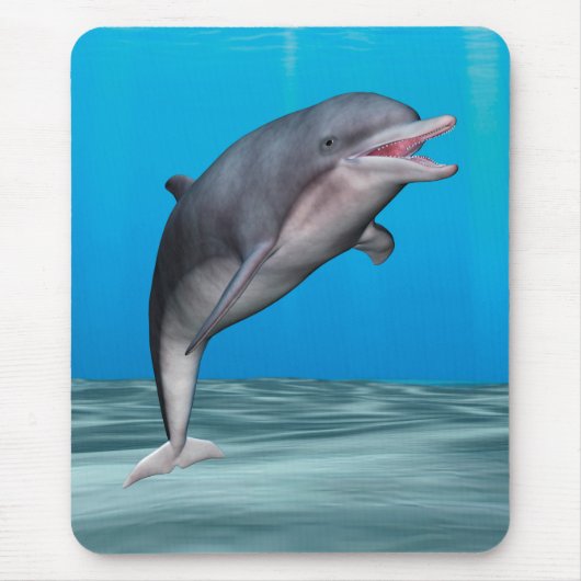 かわいいイルカ マウスパッド (正面)