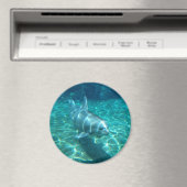 かわいいイルカ マグネット (インサイチュ (食洗機))