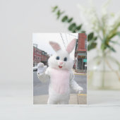 かわいいイースターバニー動物の平和の愛の運命 シーズンポストカード (スタンド正面)