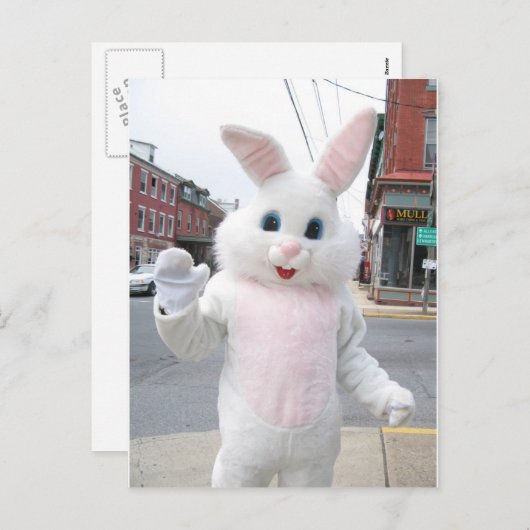 かわいいイースターバニー動物の平和の愛の運命 シーズンポストカード (正面/裏面)