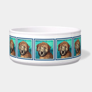 かわいいウィートテリアパピードウェット顔 ボウル