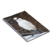 かわいいウイスキーのジャックバード自然写真 ノートブック (右側)