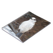 かわいいウイスキーのジャックバード自然写真 ノートブック (左側)