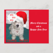 かわいいウェスティアズアサンタ・ポーズ シーズンポストカード (正面)