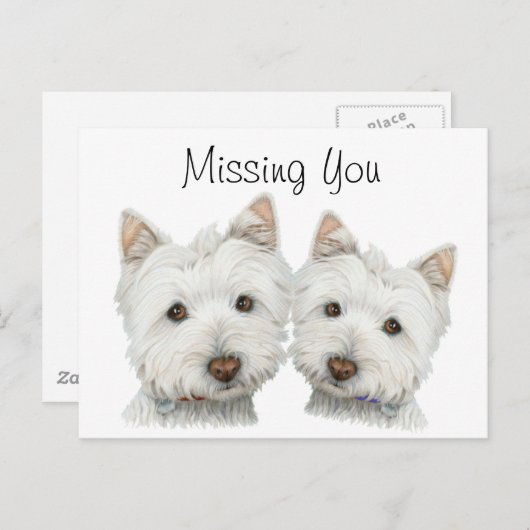 かわいいウェスティードッグ ポストカード (正面/裏面)