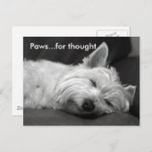 かわいいウェスティーポストカード ポストカード (正面/裏面)