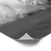 かわいいウェスティー（ウエストハイランドテリア）犬 ポスター (角)