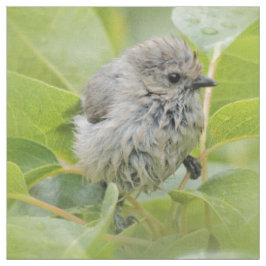 かわいいウェットウィーブシュティオンザローレル ファブリック