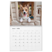 かわいいウェルシュコーギードッグ写真2026壁 カレンダー (3月 2026)
