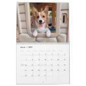 かわいいウェルシュコーギードッグ写真2026壁 カレンダー (3月 2027)