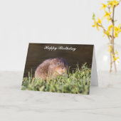 かわいいウォーター誕生日カード カード (黄色い花)