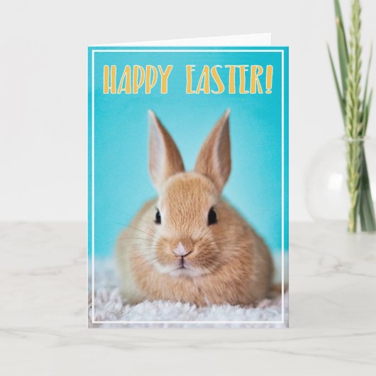 かわいいウサギのイースターカード カード (正面)