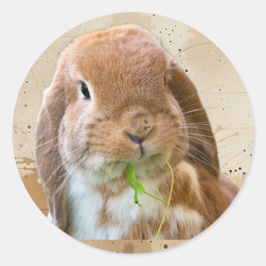 かわいいウサギのペット動物 ラウンドシール (正面)
