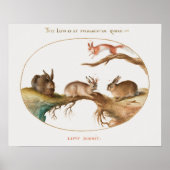 かわいいウサギのポスター ポスター (正面)