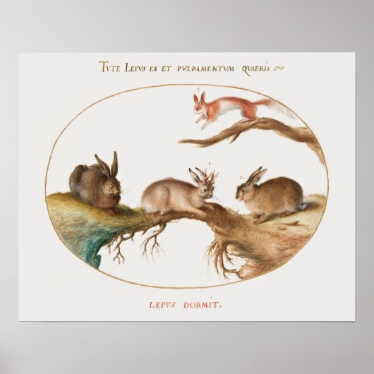 かわいいウサギのポスター ポスター (正面)