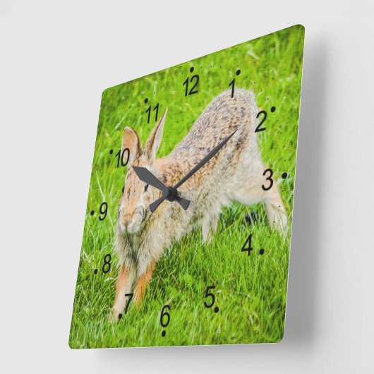 かわいいウサギの野生動物角壁時計 スクエア壁時計 (傾斜)
