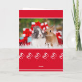 かわいいウサギ写真ホッピーのクリスマスフォールディング カード (裏面)