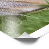 かわいいウサギ フォトプリント            (角)