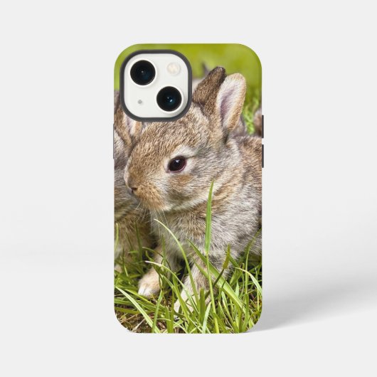 かわいいウサギ iPhoneケース (裏面)