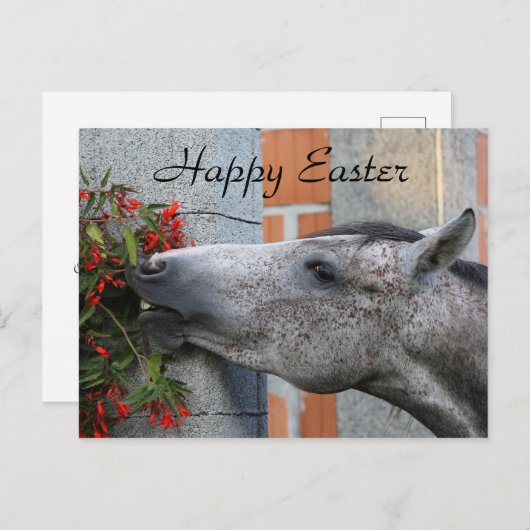 かわいいウマ&フラワーファームおもしろいハッピーイースター ポストカード (正面/裏面)