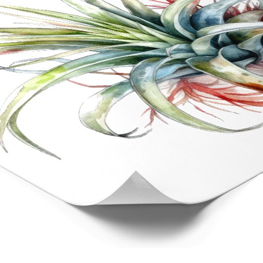 かわいいエアプラント引用文ウォールアートポスター ポスター (角)