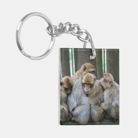 かわいいエイプファミリーグループハグ写真 キーホルダー (正面左)